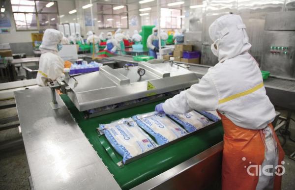 Illex squid and Gigas squid rose slightly while other squid large format prices fell!