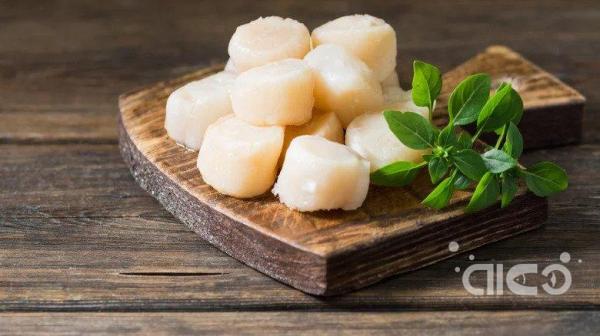 Japanese scallops flock to US and Southeast Asia, but can't offset China gap