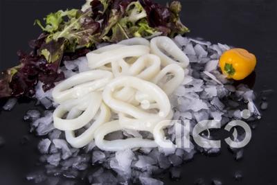 Oceanic Squid Price Growth Slows as Signs of Supply Tightness Ease